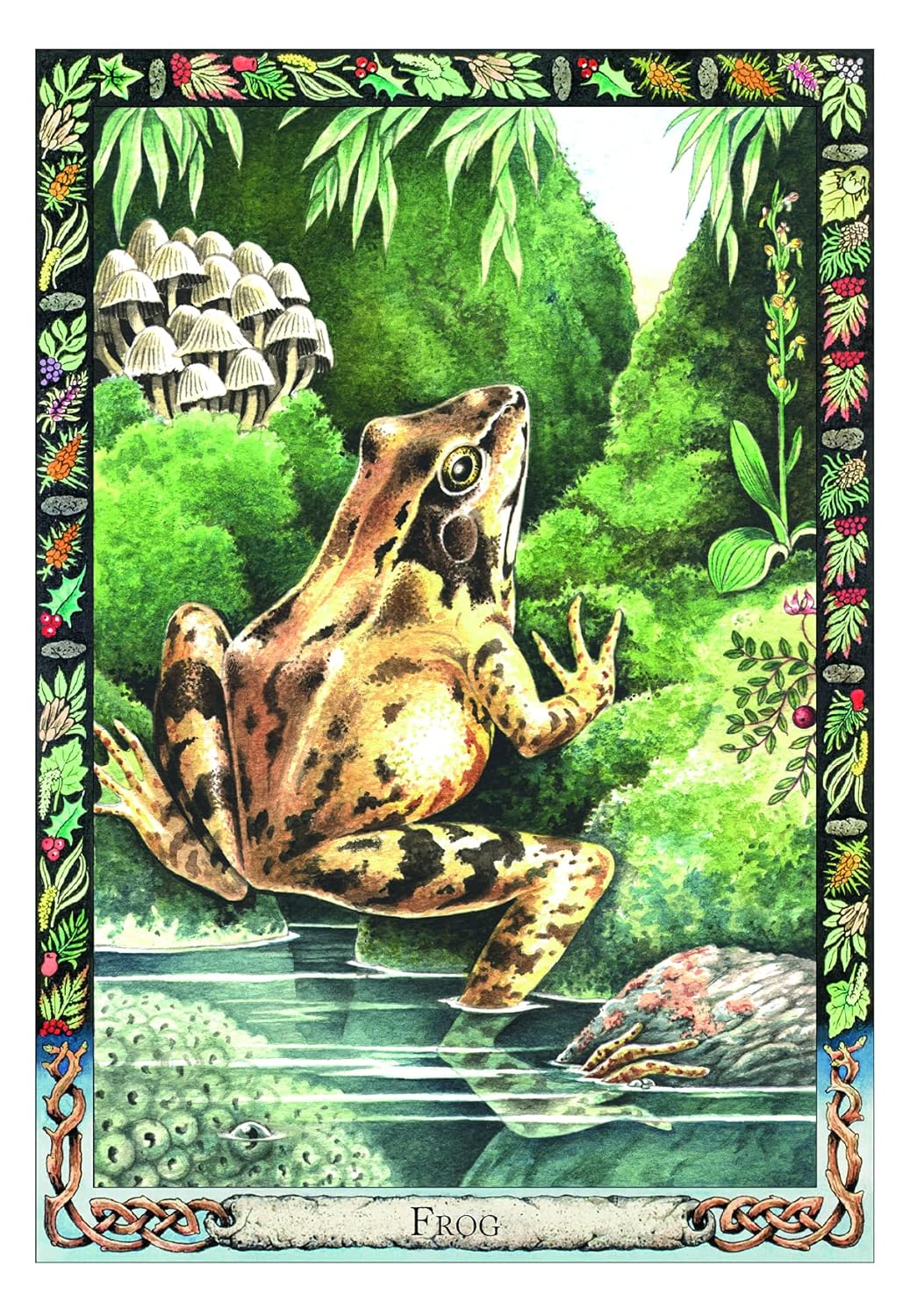The Druid Animal Oracle Deck