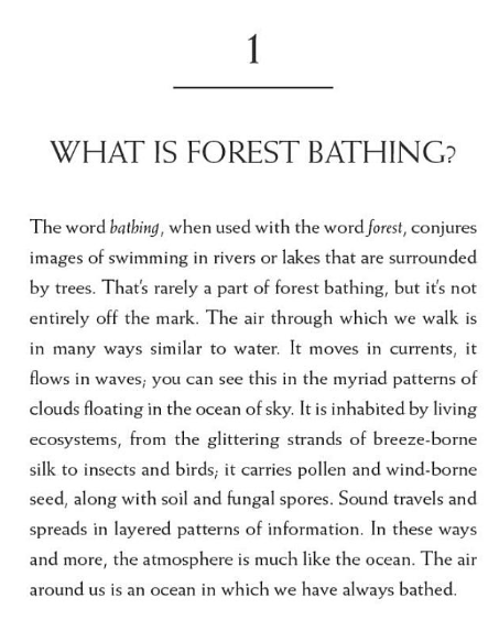 Your Guide to Forest Bathing: Experience the Healing Power of Nature by M. Amos Clifford