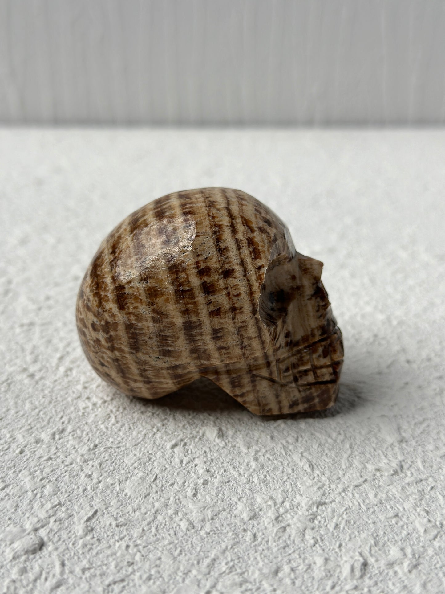 Argonite Crystal Skull