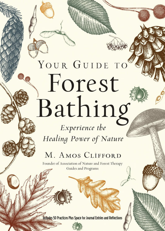 Your Guide to Forest Bathing: Experience the Healing Power of Nature by M. Amos Clifford