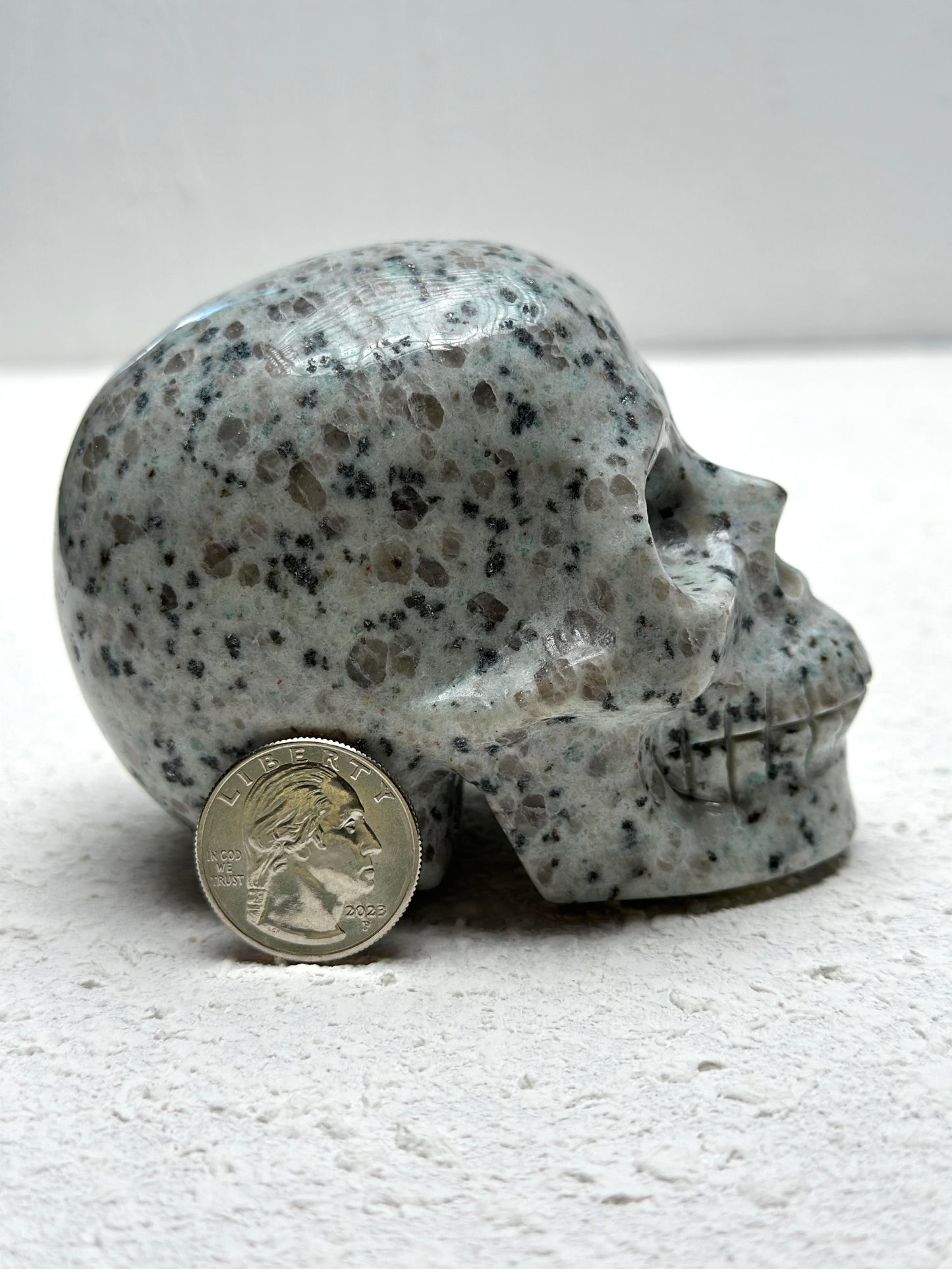 Kiwi Jasper Skull