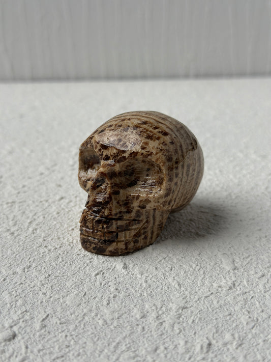 Argonite Crystal Skull