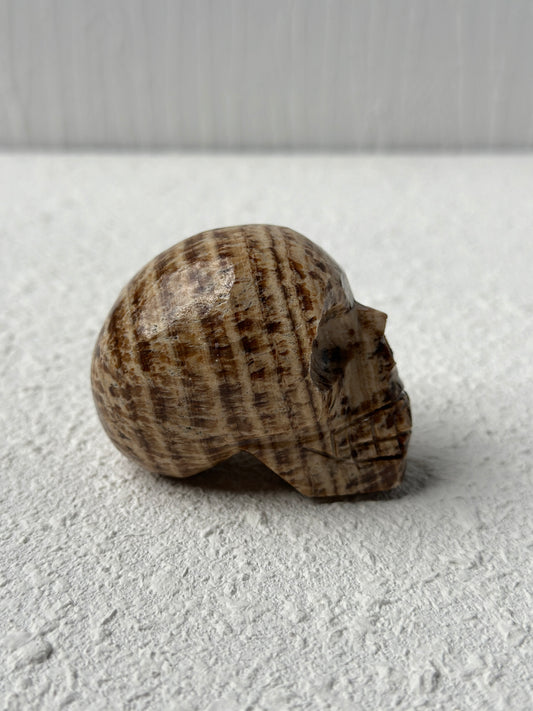 Argonite Crystal Skull
